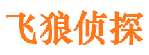 右江市调查公司